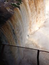 by coggos, Views[189]