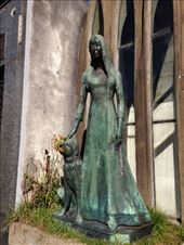 by coggos, Views[291]