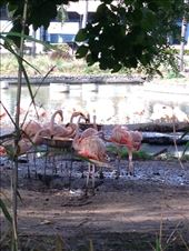 by coggos, Views[283]