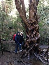 by coggos, Views[261]