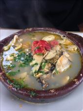 by coggos, Views[269]