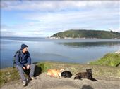 by coggos, Views[272]