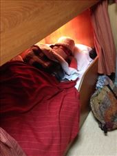 by coggos, Views[280]