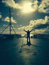 by coggos, Views[303]