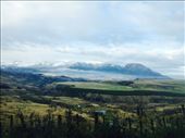 by coggos, Views[180]
