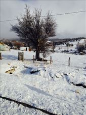 by coggos, Views[328]