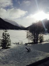 by coggos, Views[307]