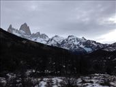 by coggos, Views[101]
