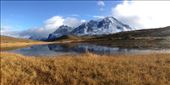by coggos, Views[155]