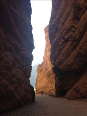 by coggos, Views[654]