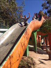 by coggos, Views[305]