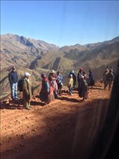 by coggos, Views[322]