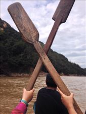 by coggos, Views[316]