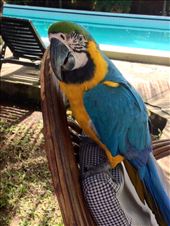 by coggos, Views[300]