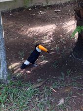 by coggos, Views[256]