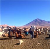 by coggos, Views[127]