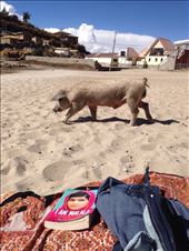 by coggos, Views[937]