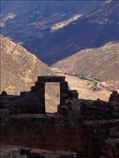 by coggos, Views[295]