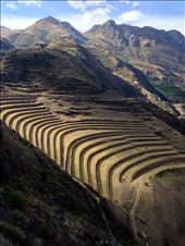 by coggos, Views[288]