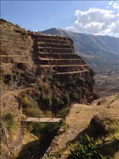 by coggos, Views[282]