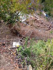 by coggos, Views[310]