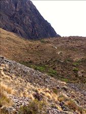 by coggos, Views[290]