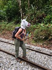 by coggos, Views[284]