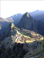 by coggos, Views[232]