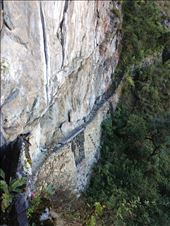 by coggos, Views[318]