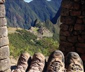 by coggos, Views[1766]