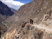 by coggos, Views[156]