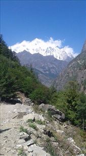 by coggos, Views[289]