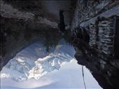 by coggos, Views[458]
