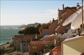 by cogo, Views[256]
