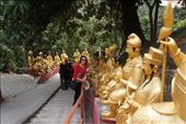 Temple of 10000 Buddhas: by col_n_sue, Views[285]