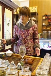 Tea tasting: by col_n_sue, Views[199]