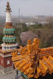 Monastery at Summer Palace: by col_n_sue, Views[222]