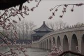 Summer Palace bridge: by col_n_sue, Views[231]