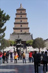 Wild Goose: by col_n_sue, Views[156]