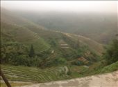 Dragon back rice terraces: by col_n_sue, Views[270]