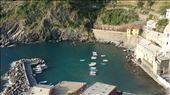 The harbour of Vernazza: by colandscott, Views[157]
