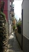 A laneway as we approach the town of Corniglia: by colandscott, Views[203]
