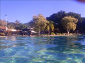my days were either spent here at the pool...: by colin_s, Views[407]