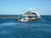 A stationary barge which served as the staging point for snorkeling and diving on the reef: by colin_s, Views[586]