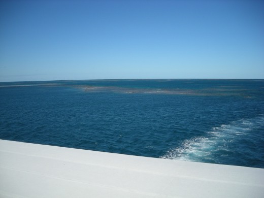 Parts of the Reef surfacing at low tide.