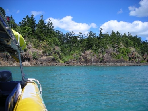 A quick snorkel excursion on the way to whitehaven beach.