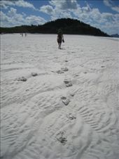 by colin_s, Views[308]