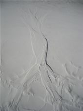 by colin_s, Views[366]