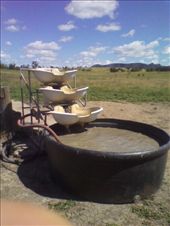 by colin_s, Views[254]