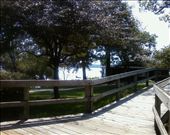 This path leads to many places, a beach in one corner and apartments on the other. A person can even find a place to sit down just around the corner and take in the scenery that this place gives you. This specific place is calming and you are able to feel the wind on your face. There are so many beautiful trees on every corner. There is nothing wrong with a little fresh air and taking a walk that will help you in the long run.: by college2013, Views[298]